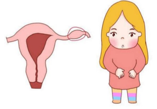 天津捐卵供卵：﻿子宫内膜不规则增生影响试管吗,能够治愈吗?