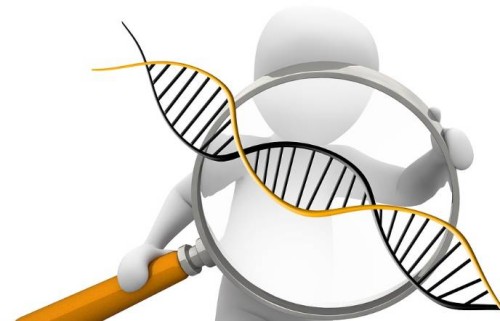 天津代怀：﻿卵巢早衰还有一些卵泡的原因主要是这些，多多调养身体