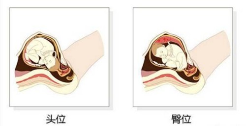 天津试管供精：﻿切勿病急乱投医，助孕机构水深莫测